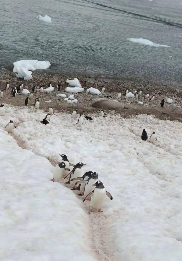 老年人出國旅遊到底有多real？