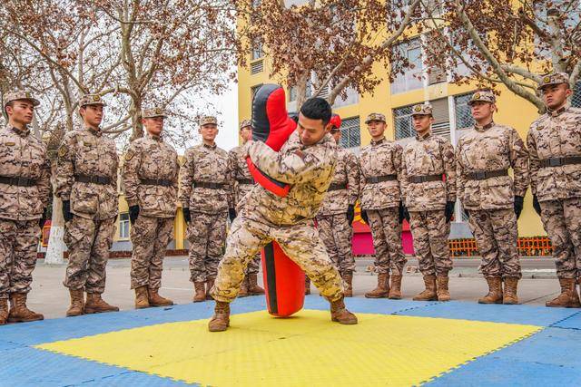 新苗破土，向陽生長，武警新兵“第二適應期”裡快速轉型