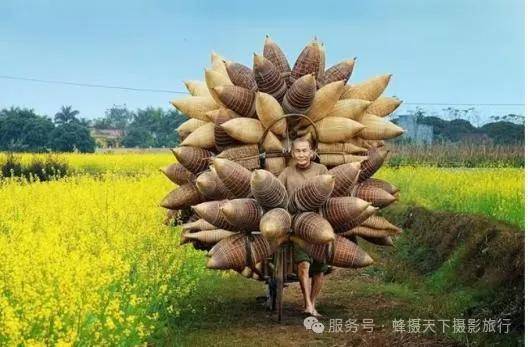 國際旅遊攝影網2026年國內外攝影路線全景指南