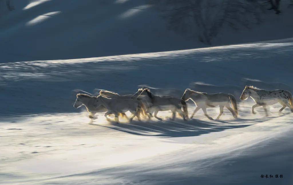 國際旅遊攝影網2026年國內外攝影路線全景指南