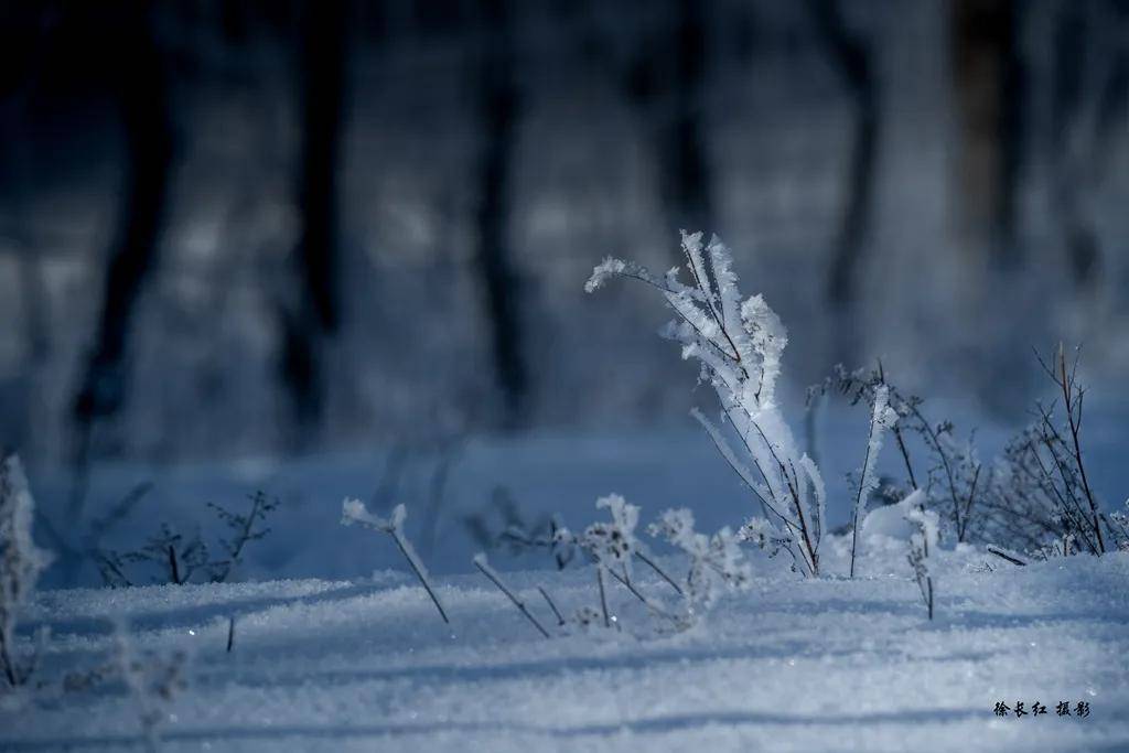 國際旅遊攝影網2026年國內外攝影路線全景指南
