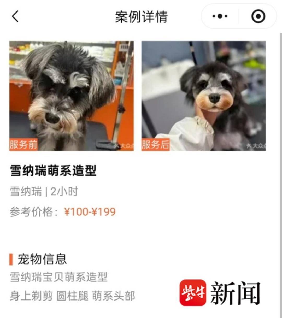 節前寵物美容需求量激增，美容師預約單已排至除夕夜