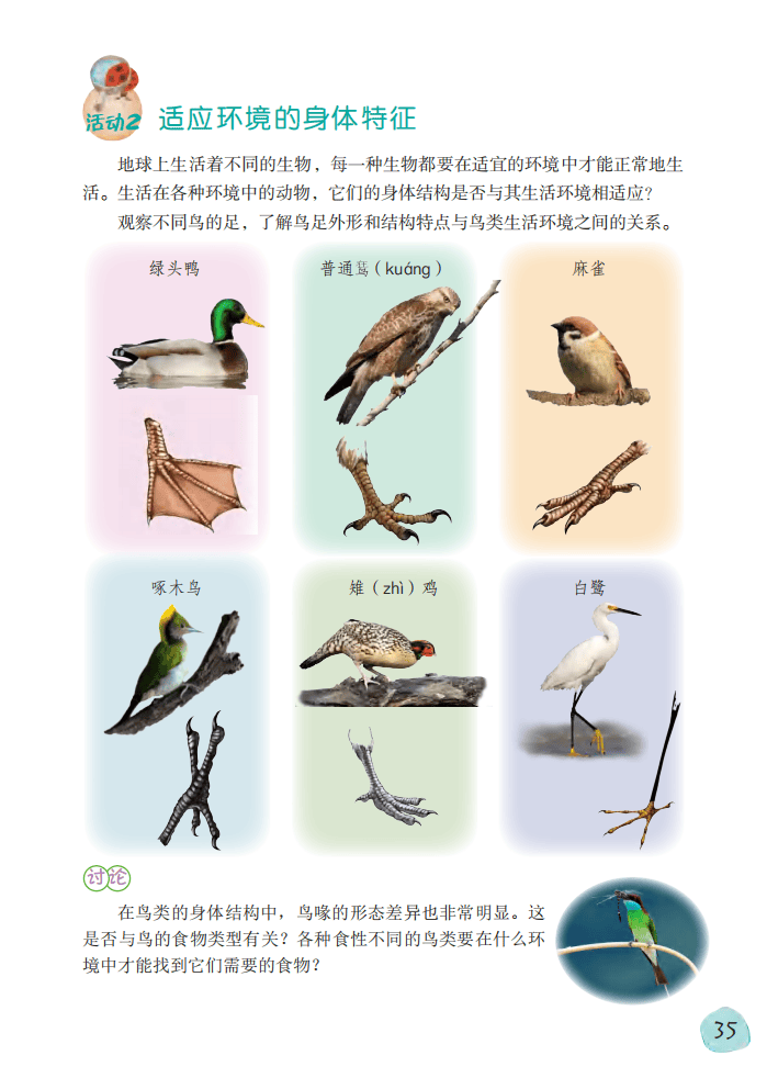 2026粵教版六年級科學下冊電子課本(PDF高畫質版新教材)